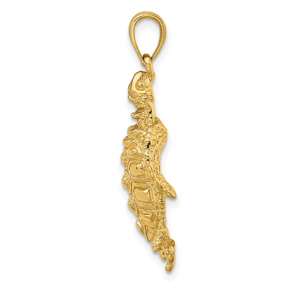 14k Yellow Gold Sea Turtle with Spiny Shell Charm