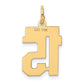 14k Yellow Gold Small Polished Number 15 Charm