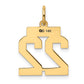 14k Yellow Gold Small Polished Number 22 Charm