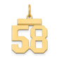 14k Yellow Gold Small Polished Number 58 Charm
