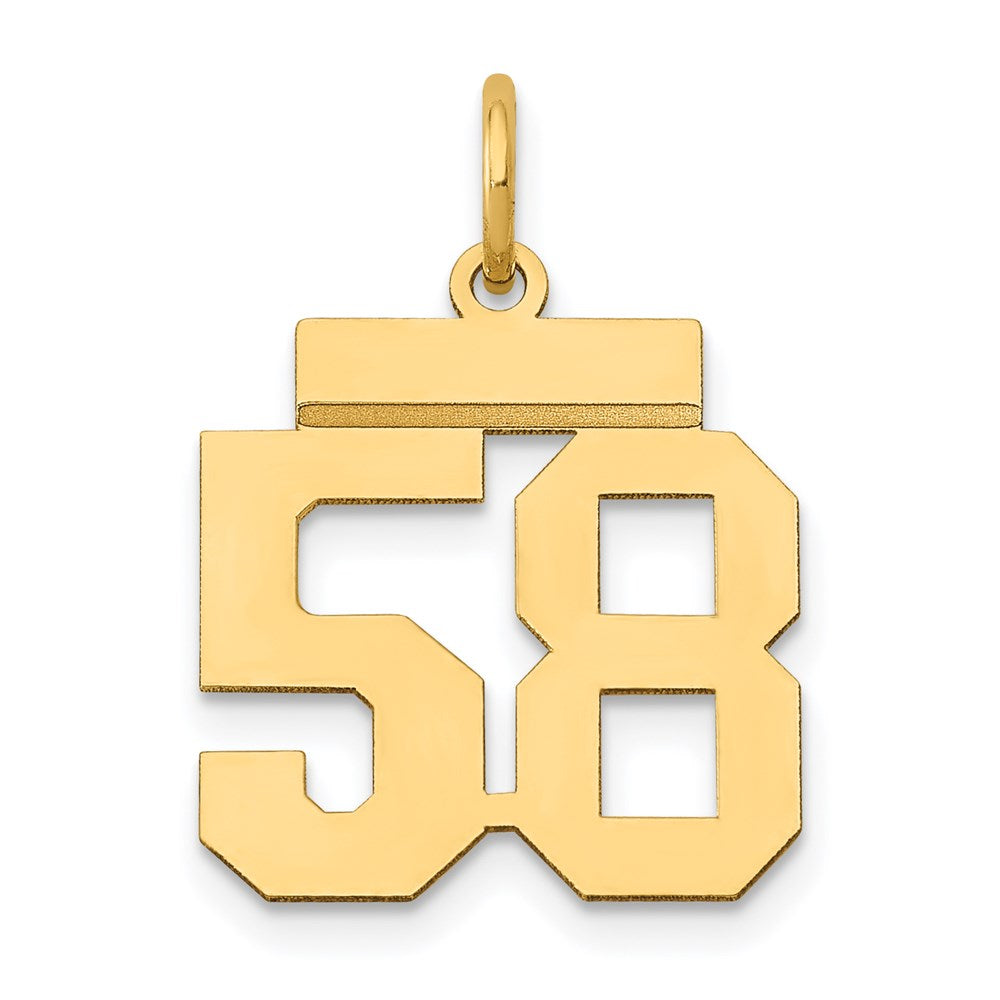 14k Yellow Gold Small Polished Number 58 Charm