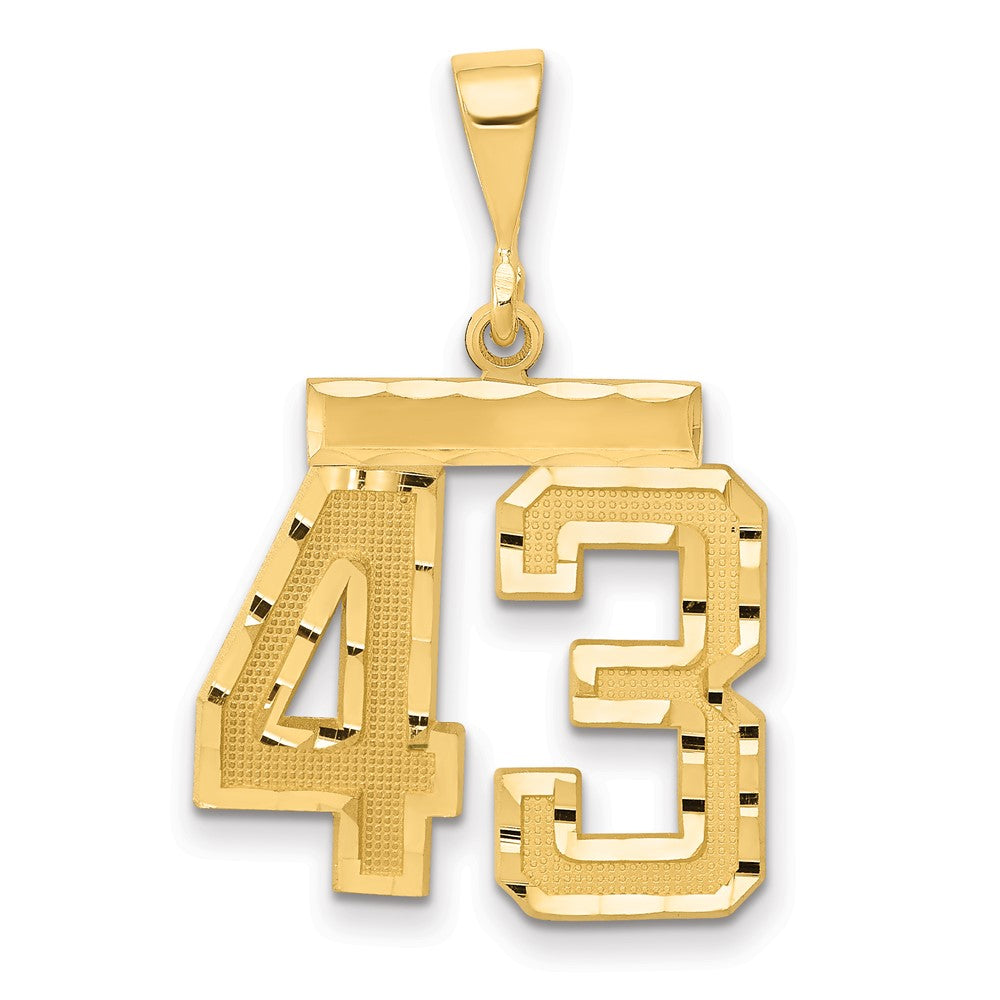 14k Yellow Gold Medium Diamond-cut Number 43 Charm
