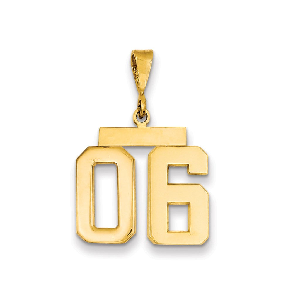 14k Yellow Gold Medium Polished Number 06 on Top Charm