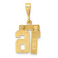 14k Yellow Gold Small Polished Number 16 Charm