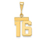 14k Yellow Gold Small Polished Number 16 Charm