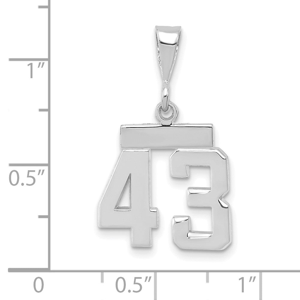 14k White Goldw Small Polished Number 43 Charm