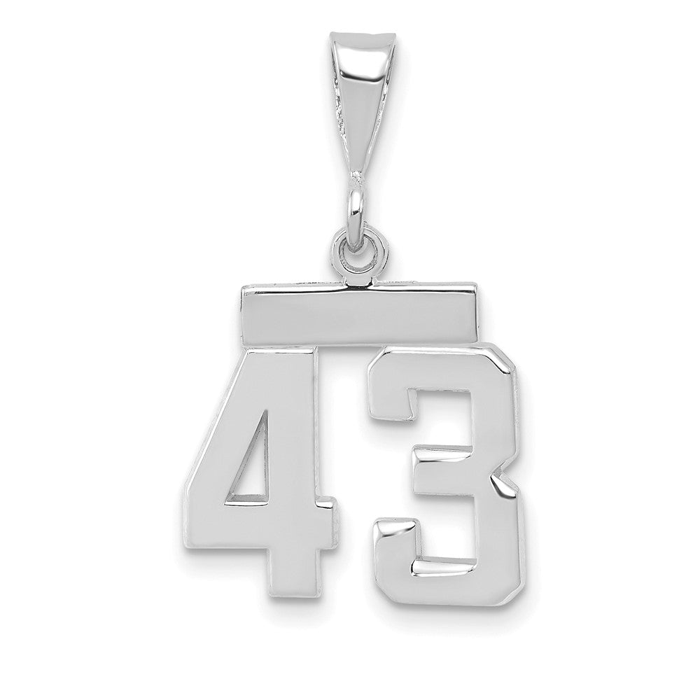 14k White Goldw Small Polished Number 43 Charm